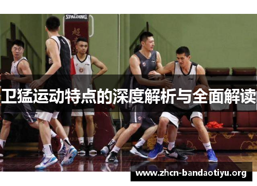 卫猛运动特点的深度解析与全面解读
