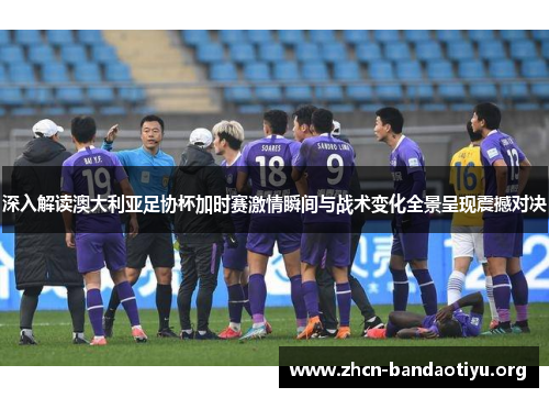 深入解读澳大利亚足协杯加时赛激情瞬间与战术变化全景呈现震撼对决